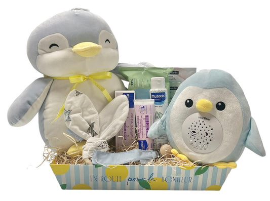 Canastilla regalo nacimiento bebe mustela