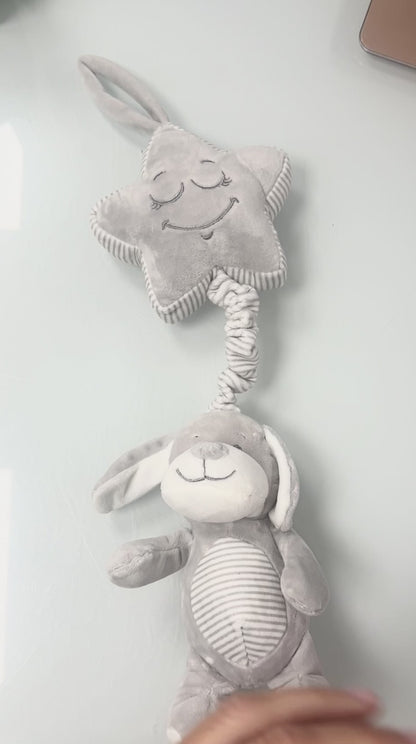 Cesta regalo bebé dulces sueños